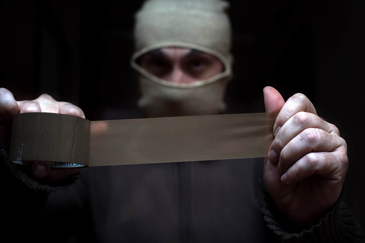 Help, de directeur is ontvoerd! header image