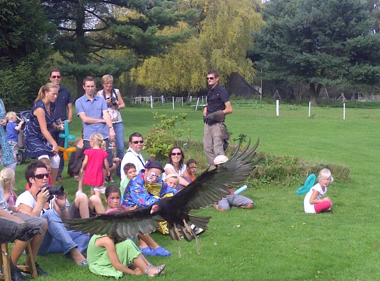 https://funkey.be/wp-content/uploads/2020/04/Sint-Pieters-Leeuw-20110910-00064.jpg