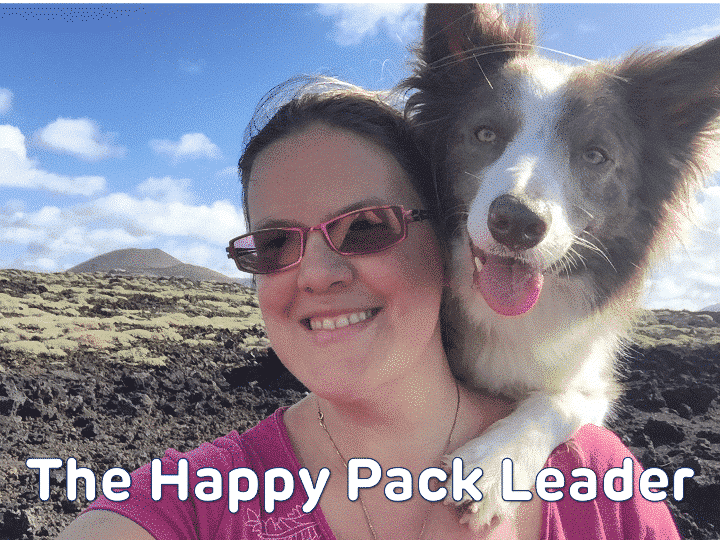 The happy pack leader