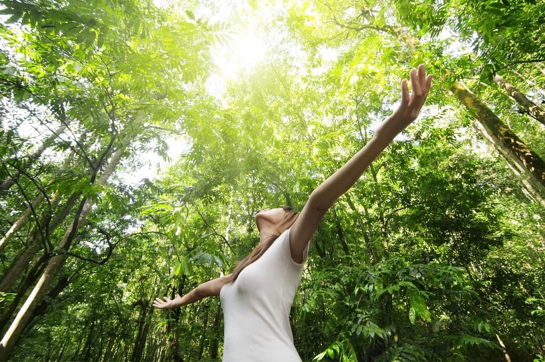 Workshop Mindfulness