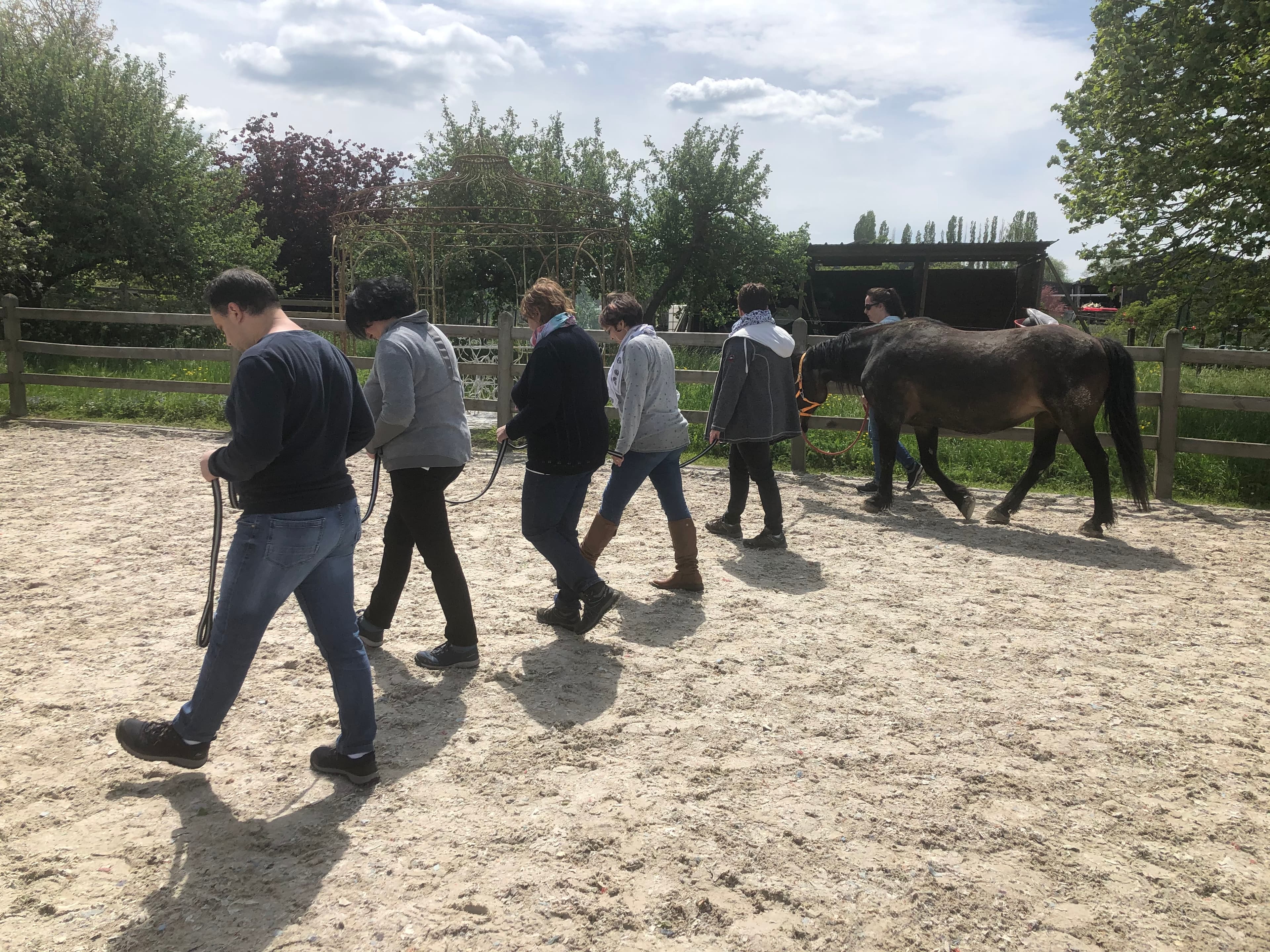 Team Coaching en présence du cheval