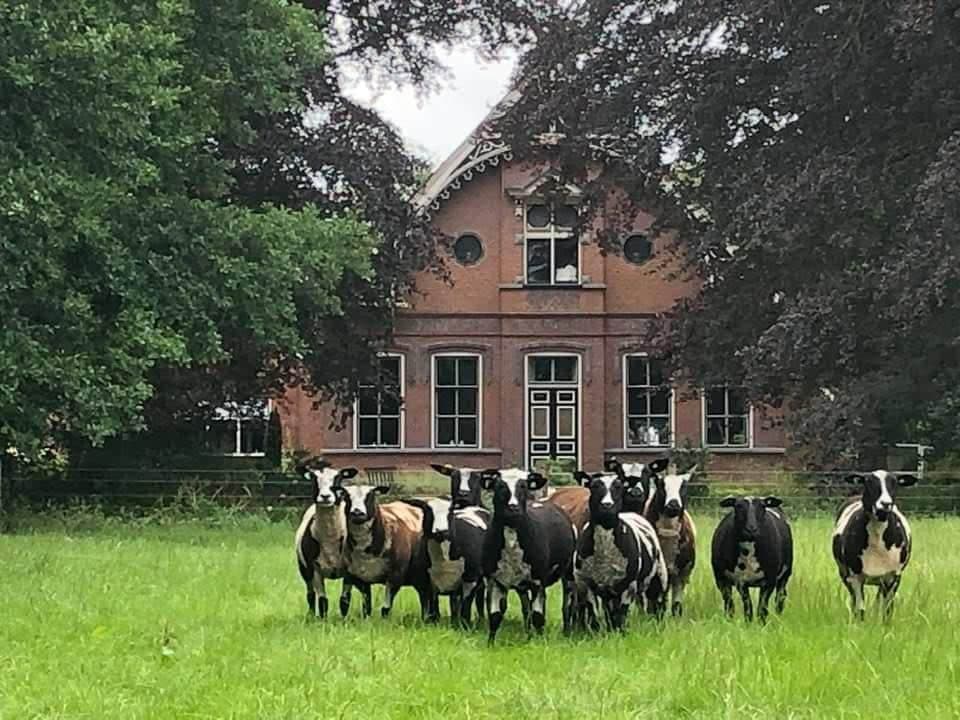 https://funkey.be/wp-content/uploads/2023/09/Boerderij-met-schapen.jpg