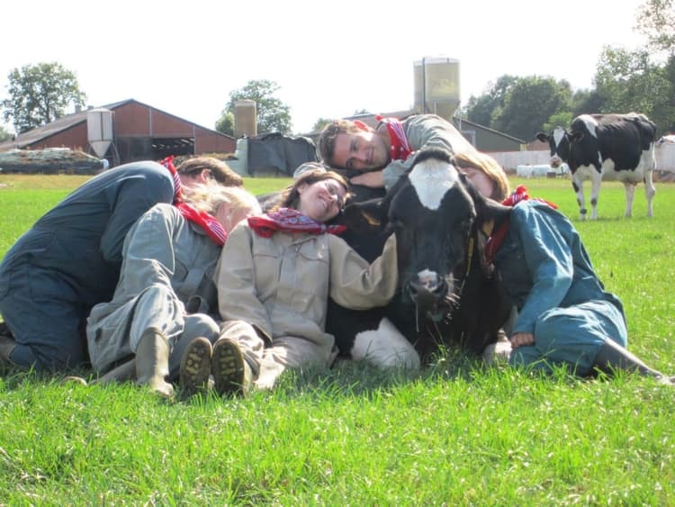 Koeknuffelen - Header