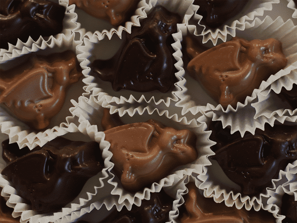 Chocoladewandeling Gent header image