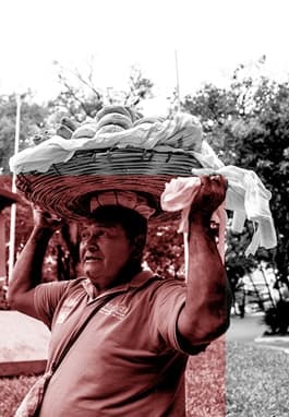 Lunchtour header image