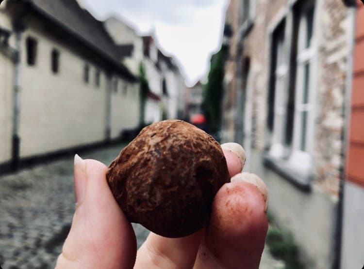 https://wp.funkey.be/wp-content/uploads/2022/03/CHOCOLATE-TOUR-7.jpeg