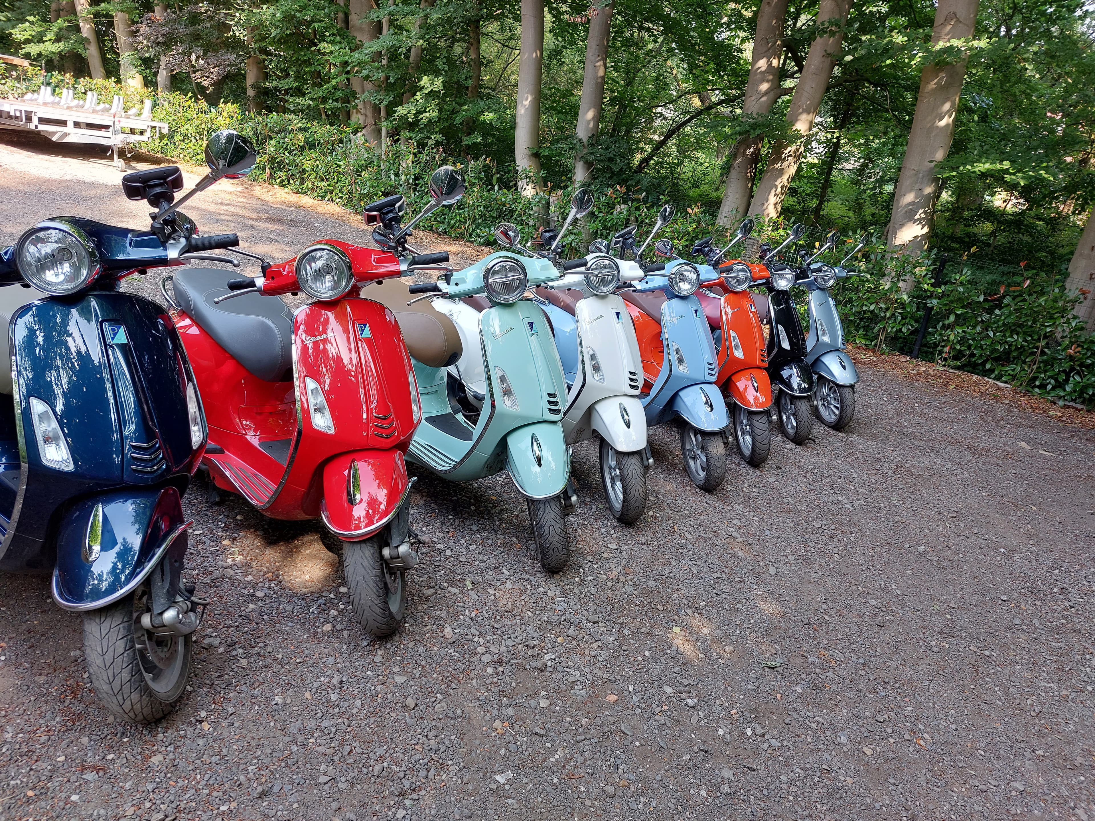 Vespa Waasland header image