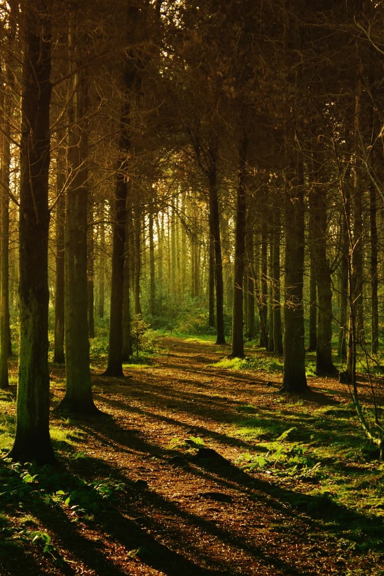 Natuur bad - Header