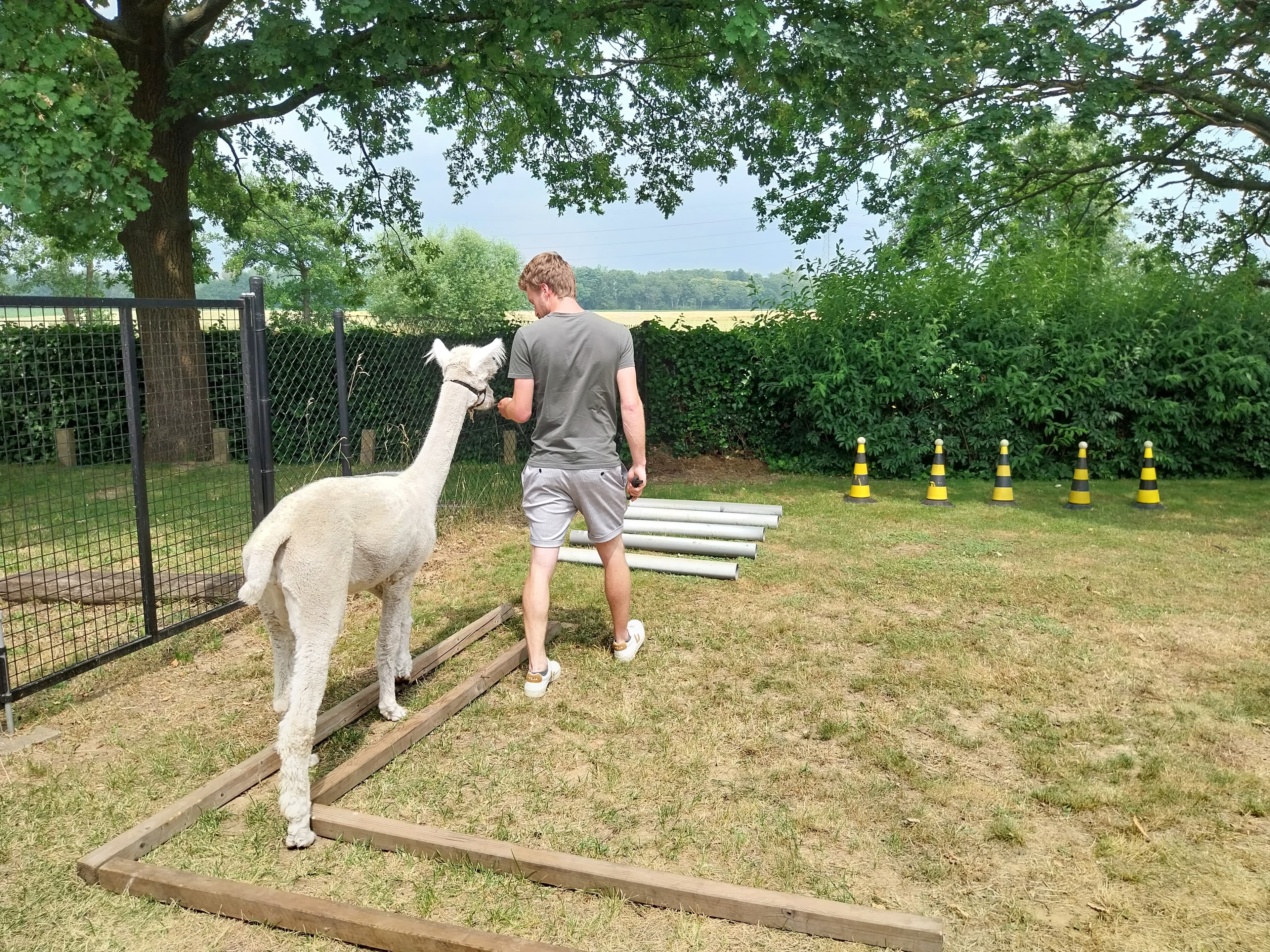 https://wp.funkey.be/wp-content/uploads/2023/08/20230629_141433.jpg
