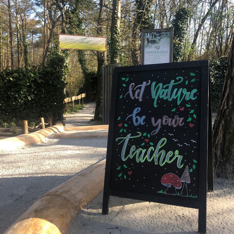 Teamsessie: Ontwikkelen in de natuur - Header