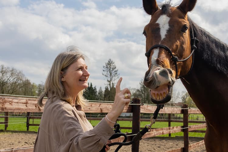 Paardenkracht in je team - Header