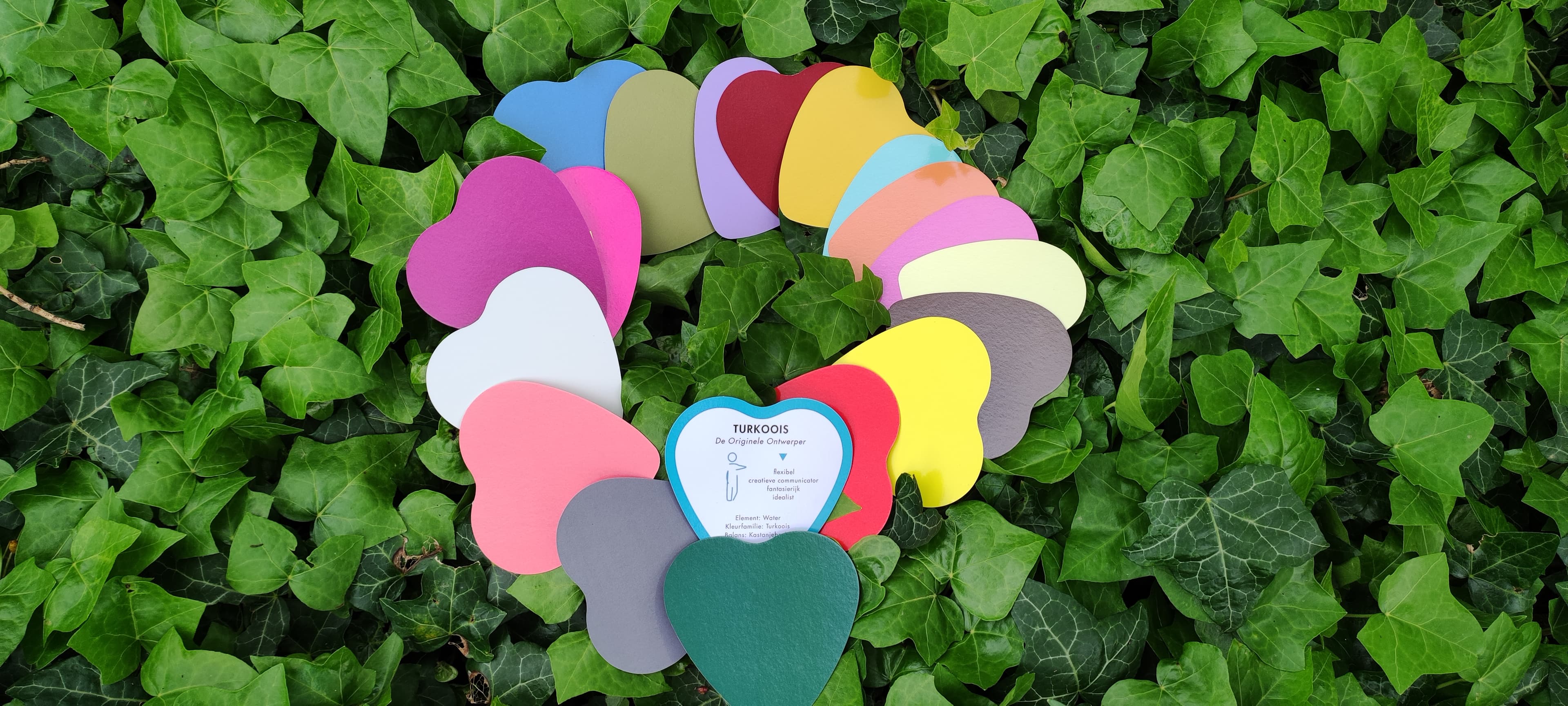 Kleur wandeling header image