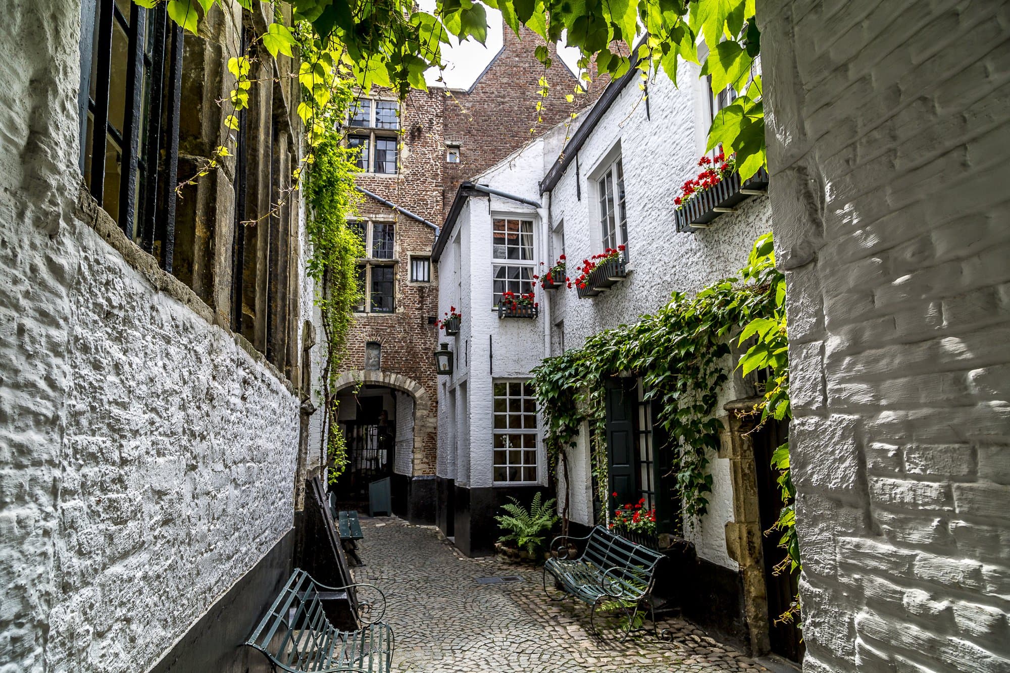 Walk & Dine: Antwerpen Centrum header image