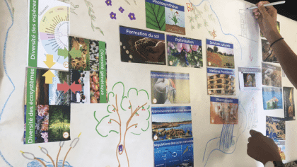 La Fresque de La Biodiversité header image