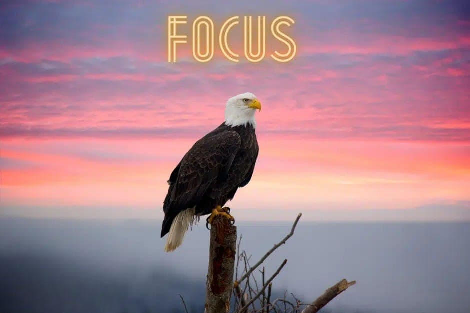 https://wp.funkey.be/wp-content/uploads/2025/01/3411f2df-882a-4673-b7ad-4ee4ee1e37b5.jpg