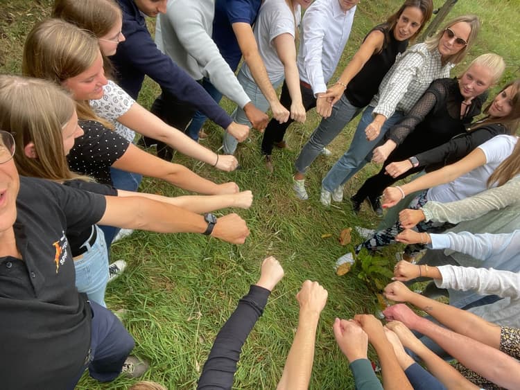 Workshop Teamcoaching - Header