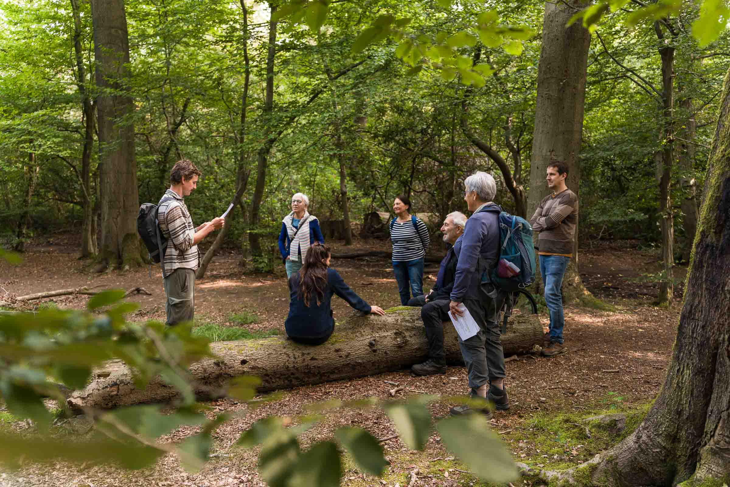 Bosbaden voor teams – Verbindend vertragen in de natuur header image