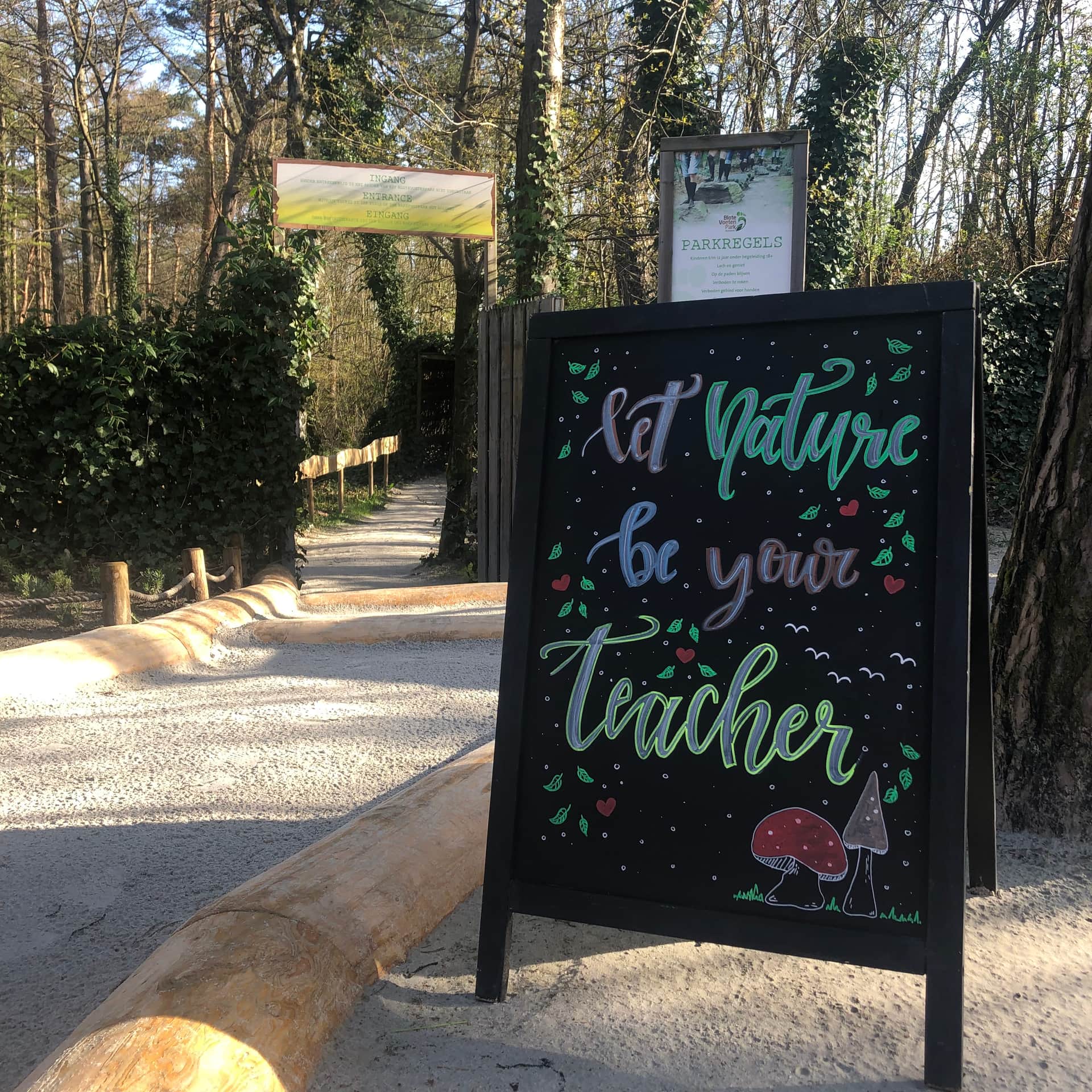 Teamsessie: Ontwikkelen in de natuur header image