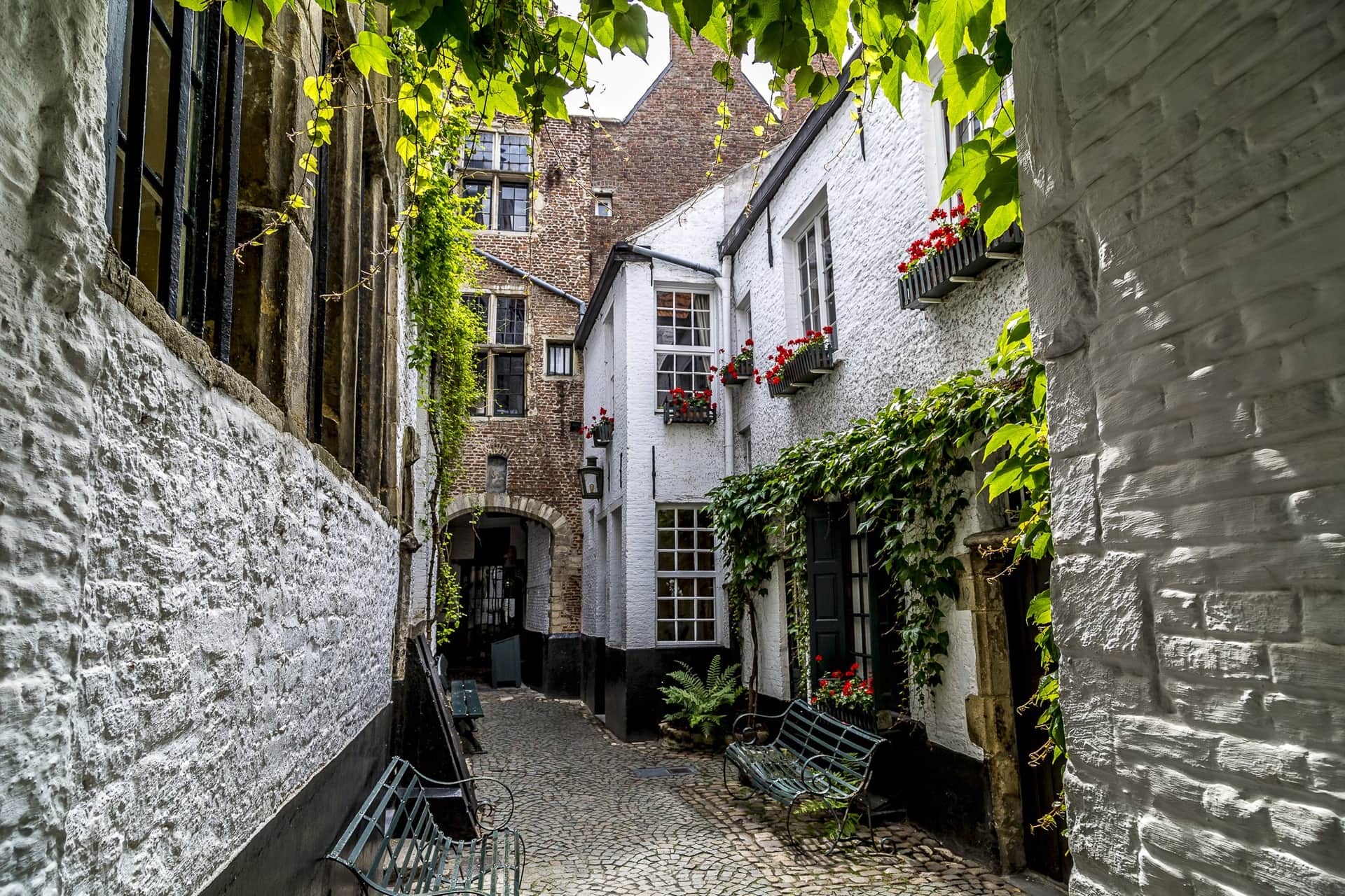 Walk & Dine: Antwerpen Centrum header image