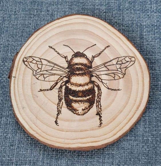 Boomschijf inbranden header image